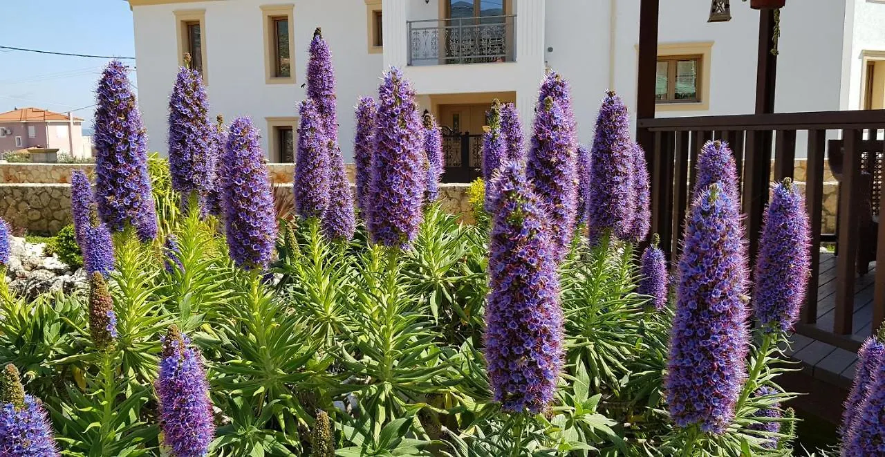 Villa Omega Kefalonia Karavados